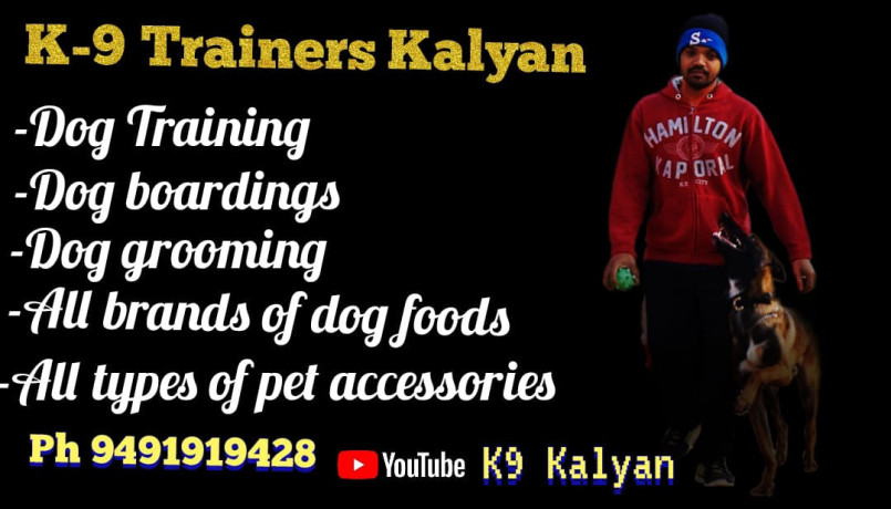 k-9-trainers-kalyan-big-0