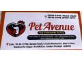 pet-avenue-small-4