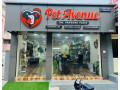 pet-avenue-small-0