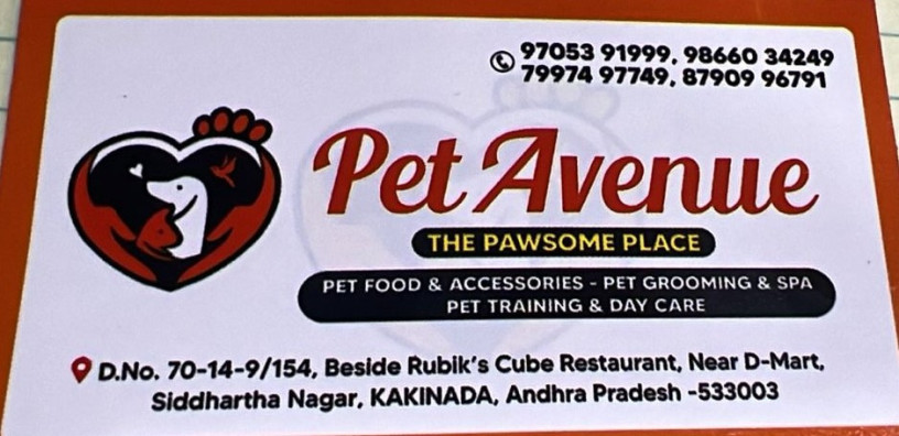 pet-avenue-big-4