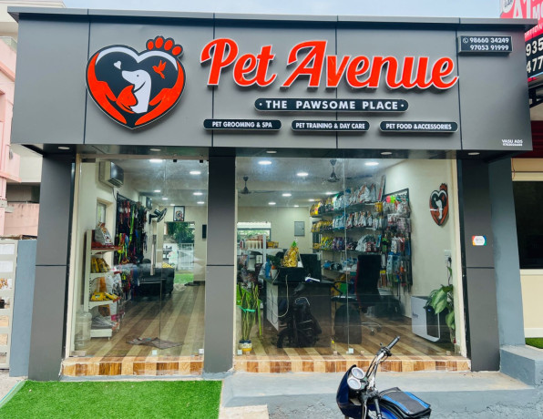 pet-avenue-big-0