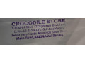 crocodile-store-small-2