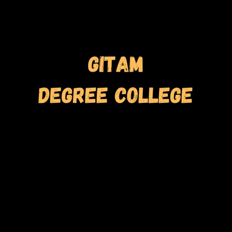 gitam-degree-college-big-2