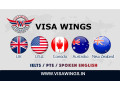 visa-wings-small-0