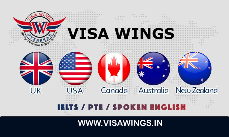 visa-wings-big-0