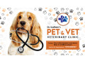 dr-sudheers-pet-vet-veterinary-clinic-small-0