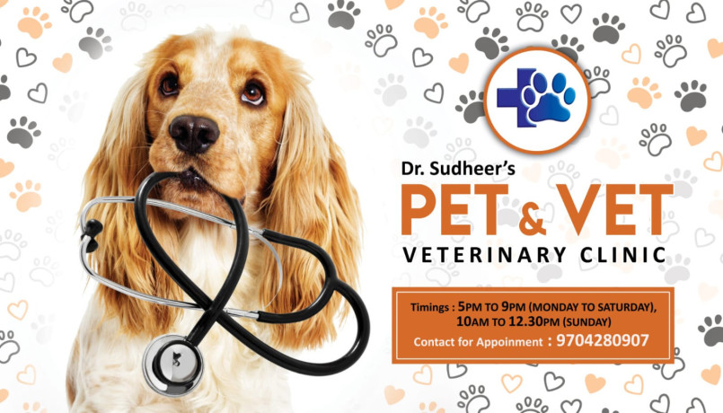 dr-sudheers-pet-vet-veterinary-clinic-big-0