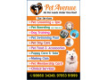 pet-avenue-all-pet-needs-under-one-roof-small-0