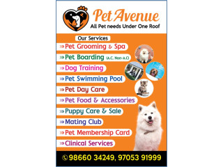 PET AVENUE ( All pet needs under one roof )