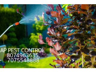 AP PEST CONTROL