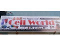 sai-raghavendra-cell-world-small-0