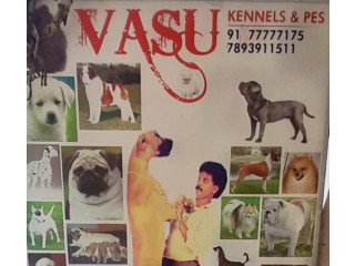 Vasu Kennels &Pet