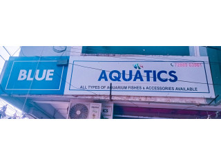 Blue Aquatic