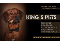 king-5-pets-small-1